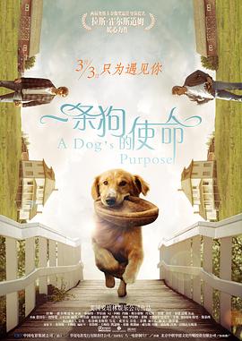 亚洲欧美电影在线一区二区