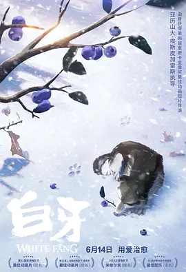 黄页网站播放器日本
