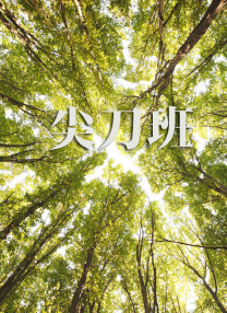 一区二区视频免费看