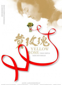 国产婷婷高清在线观看免费